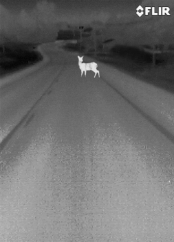 Flir M324XP thermal imaging camera